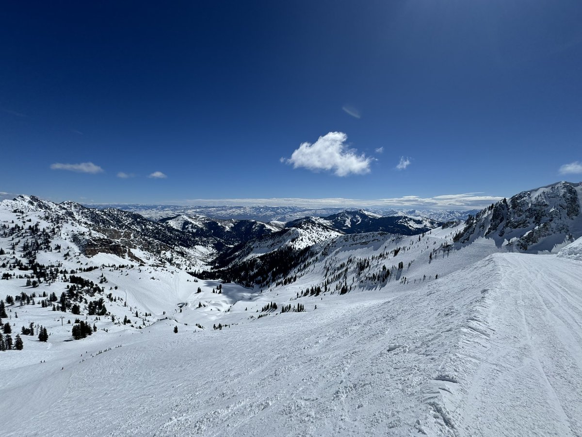 Very General Orthopaedist tweet media