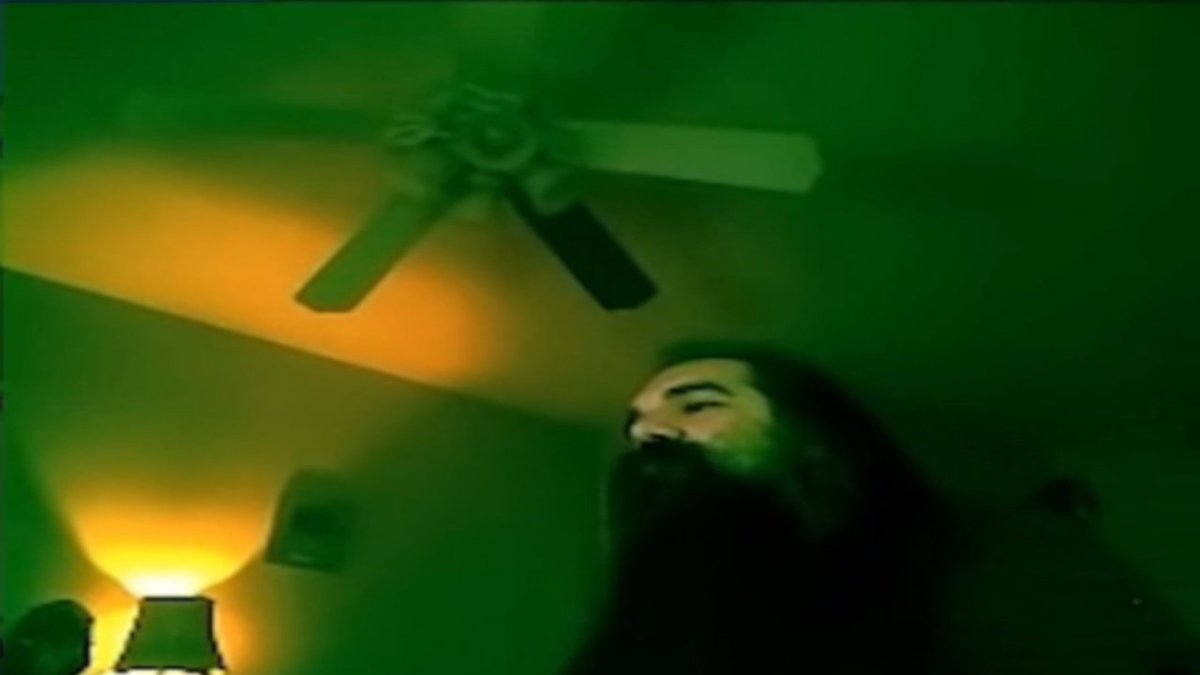 The fish in the water