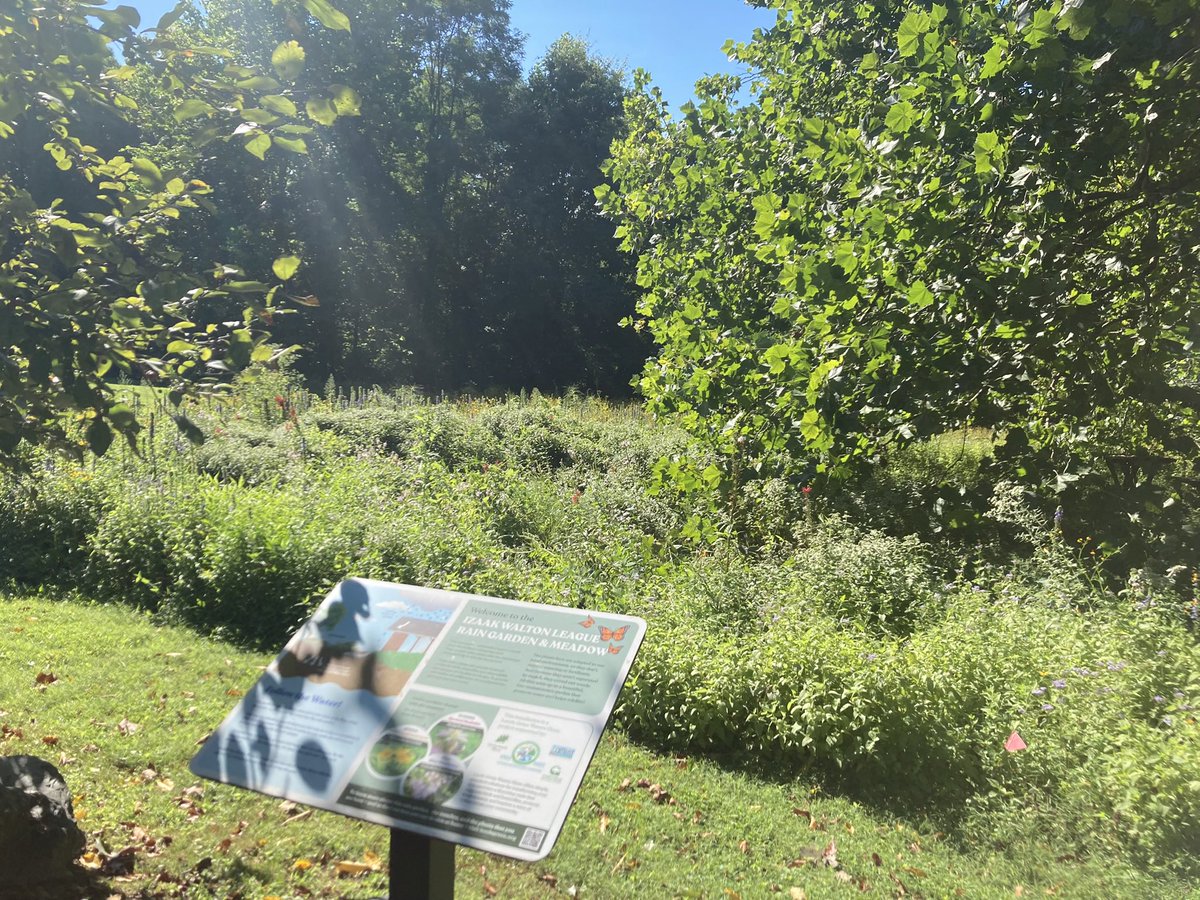 Join us Sunday March 17 for our quarterly chapter, get together, 12 noon to 2:30 PM at Green Spring Gardens, 4603 Green Spring Rd, Alexandria. We will have a discussion about native plants and tour the native plant trail.