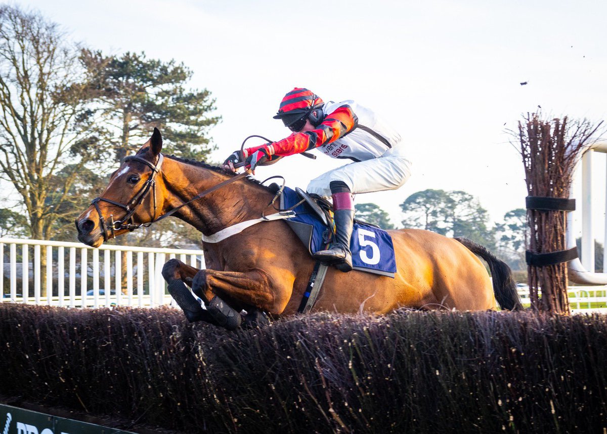 You’ve done us proud 
Gold Clermont 🙌🏼

Amazing jumping

2 wins 🥇🥇 
Sussex National
4th in Eider Chase
6th in Midlands Grand National 
(9lbs wrong)

Look forward to next year ❤️ 
Thank you.