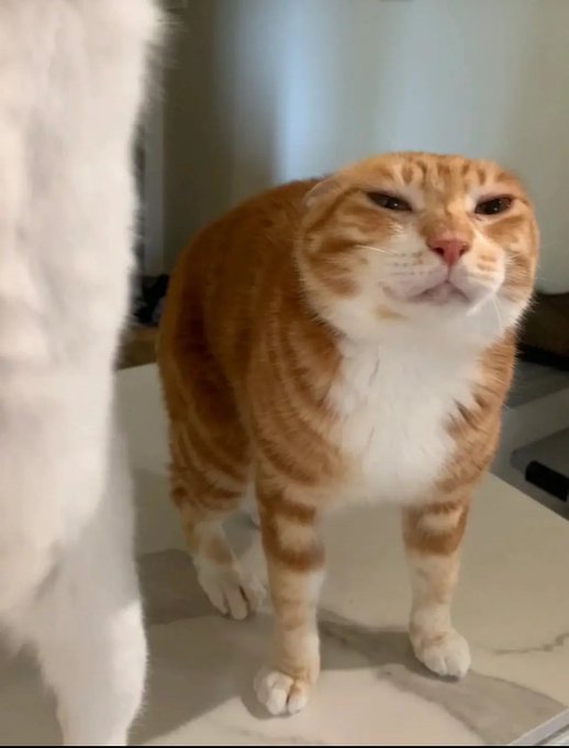 me trying not to take psychic damage from corny people https://t.co/Q01OIf9Cdm<a href="/tag/throne"class="tags"><span>#throne</span></a><a href="/tag/wishlist"class="tags"><span>#wishlist</span></a>