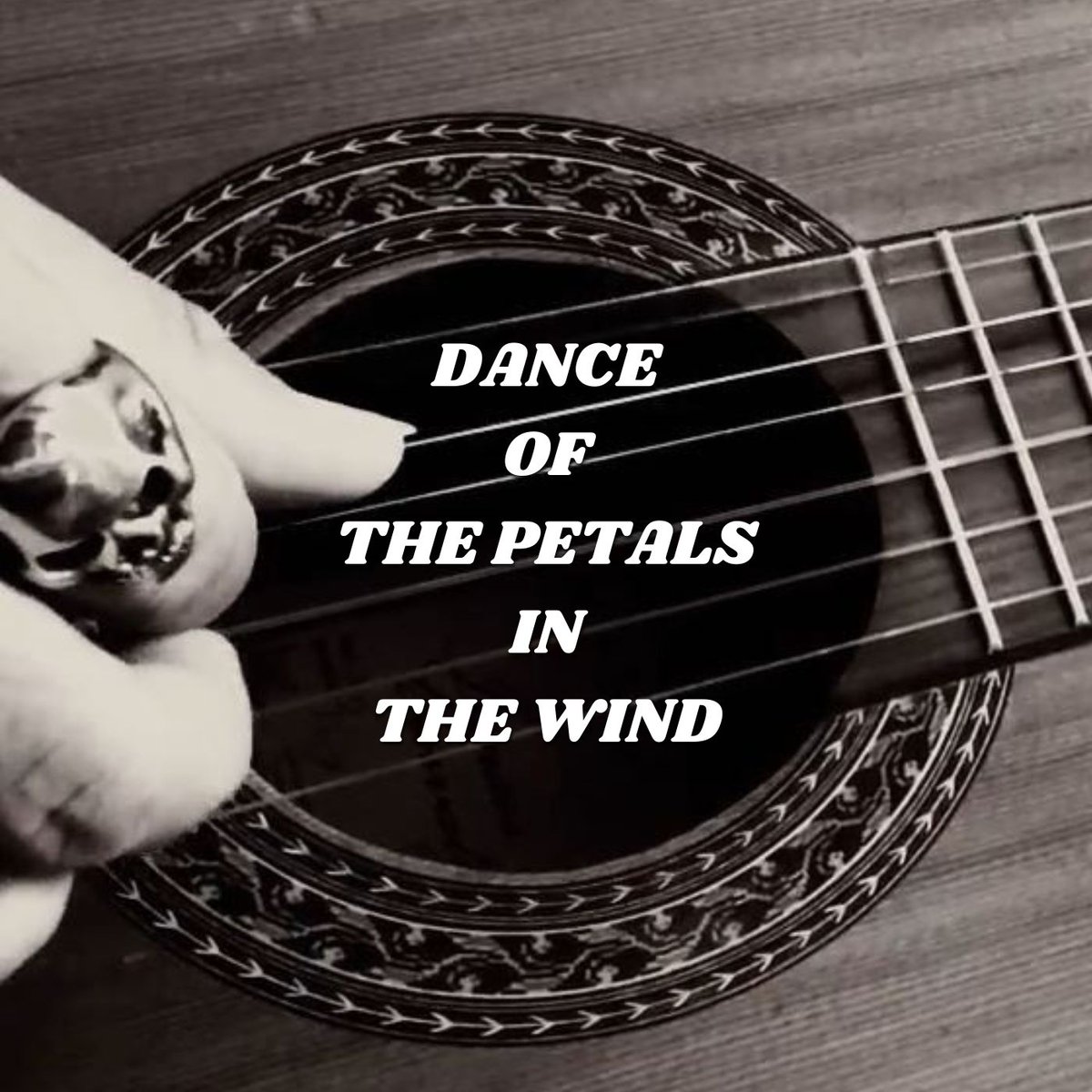 StringsFingers's tweet photo. We've just launched our first NFT Musical! It's called Dance of the Petals in the Wind, a song about delicacy, strength, dissonance and beauty.
Now available for auction on @exchgART  .

Original song
1/1 - 2 $SOL
Click on the link to listen and watch!

https://t.co/jSb22G9IIk https://t.co/6XJfuuXNom