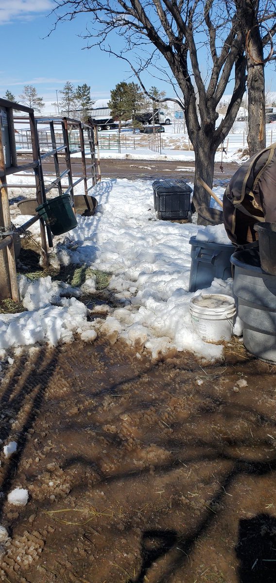 SinnaPomme tweet media