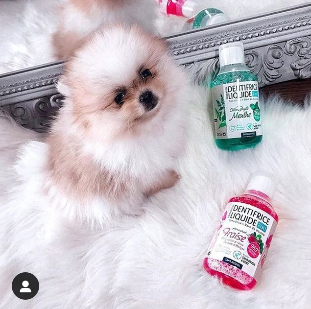 AzelCosmetic's tweet photo. #promotions #soldes #sur le lot de dentifrice liquide qui vous permet une hygiène dentaire parfaite 😍#concours #concour #Lille #promotion #dentifrice #baindebouche #concours #cadeaux #gratuit #nouveau #giveaway #soin #smile #dentblanche #gencive #concoursbeaute #Hygiene # https://t.co/sYnhBBCLUJ