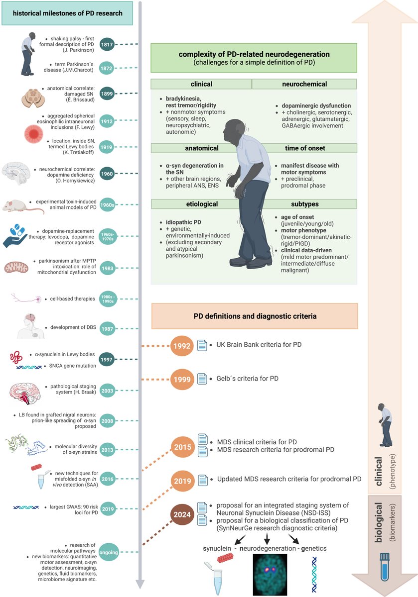 The Science of Parkinson's (@scienceofpd) on Twitter photo Interesting review on the past & future definitions of #Parkinsons
๐From the phenotype to underlying biology: evolution of concepts
๐Defining PD: past & current criteria
๐From clinical to a biological definition of PD
๐Future perspectives & unmet needs
content.iospress.com/articles/journโฆ Interesting review on the past & future definitions of #Parkinsons
๐From the phenotype to underlying biology: evolution of concepts
๐Defining PD: past & current criteria
๐From clinical to a biological definition of PD
๐Future perspectives & unmet needs
content.iospress.com/articles/journโฆ