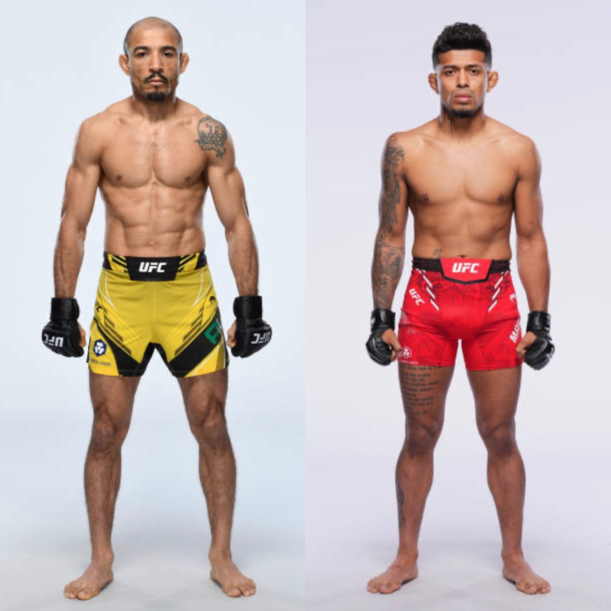 MMA Orbit tweet media