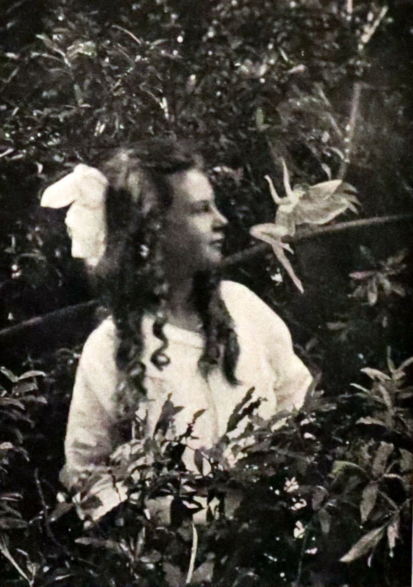🧚‍♀️ 'The Coming of the Fairies' (1922) by Arthur Conan Doyle explores the mystical Cottingley Fairies affair with captivating photographs.
mflibra.com/products/1922-…
#BookWithASoul #MFLIBRA #OwnAPieceOfHistory #CottingleyFairies #ArthurConanDoyle #RareBooks #HistoricalMystery