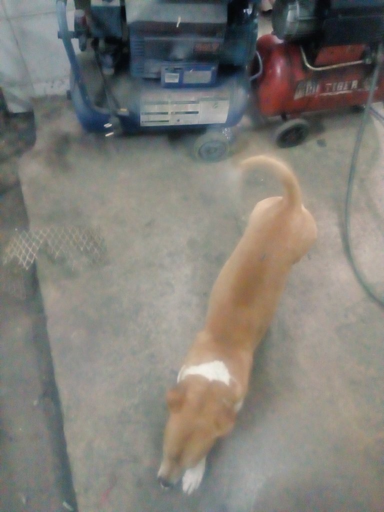 merciamaritz1's tweet photo. #Stretching
#RockeBok
#WorkshopManager
๐๐๐๐๐๐๐ https://t.co/9zyZE1RUTH