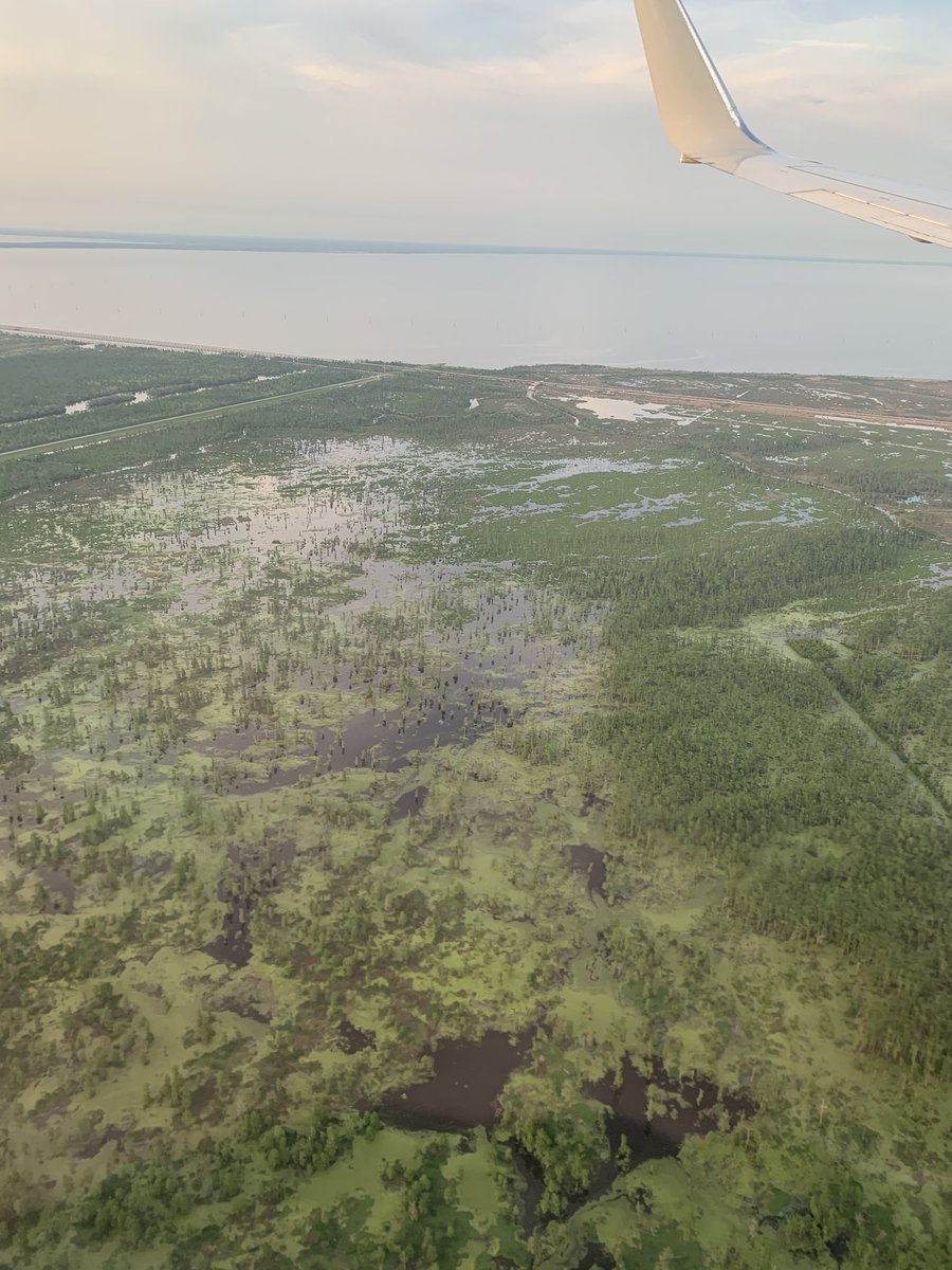 rebecca johnson tweet media