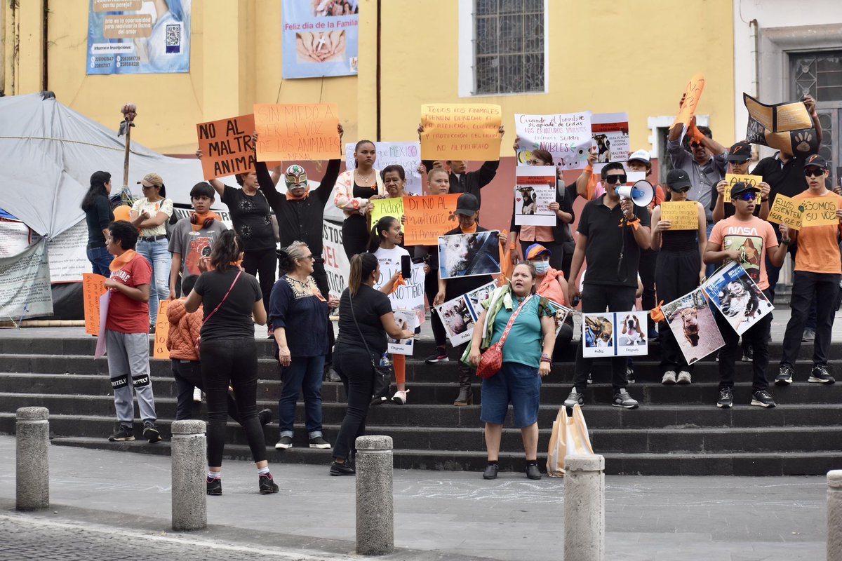 JL | Javier Landa tweet media