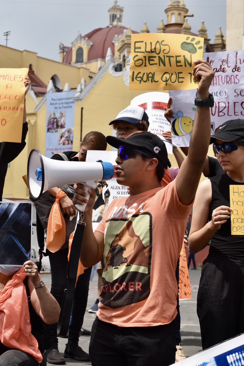 JL | Javier Landa tweet media