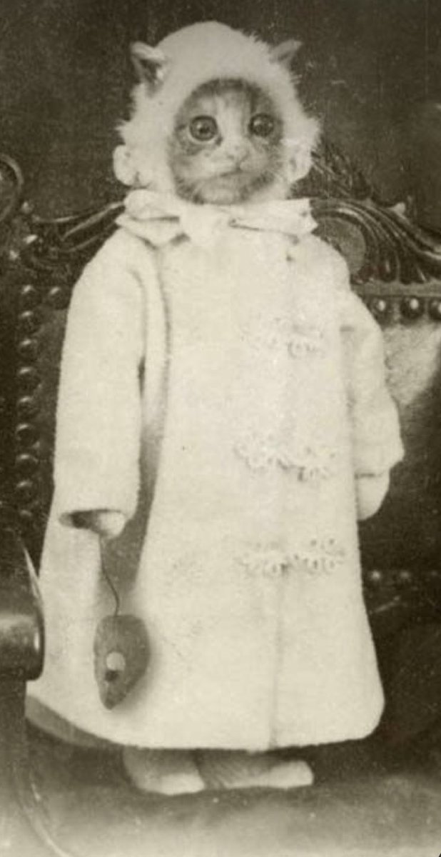 Carole Damidot tweet media