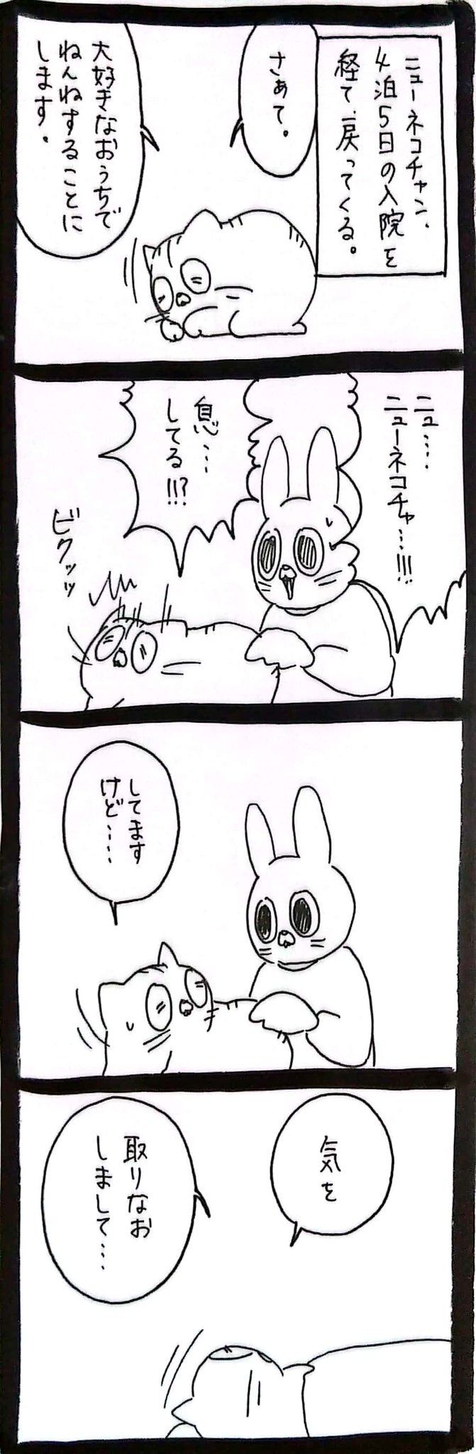 うさぎのみみちゃん😇6/1コミティアせ45b on X: 