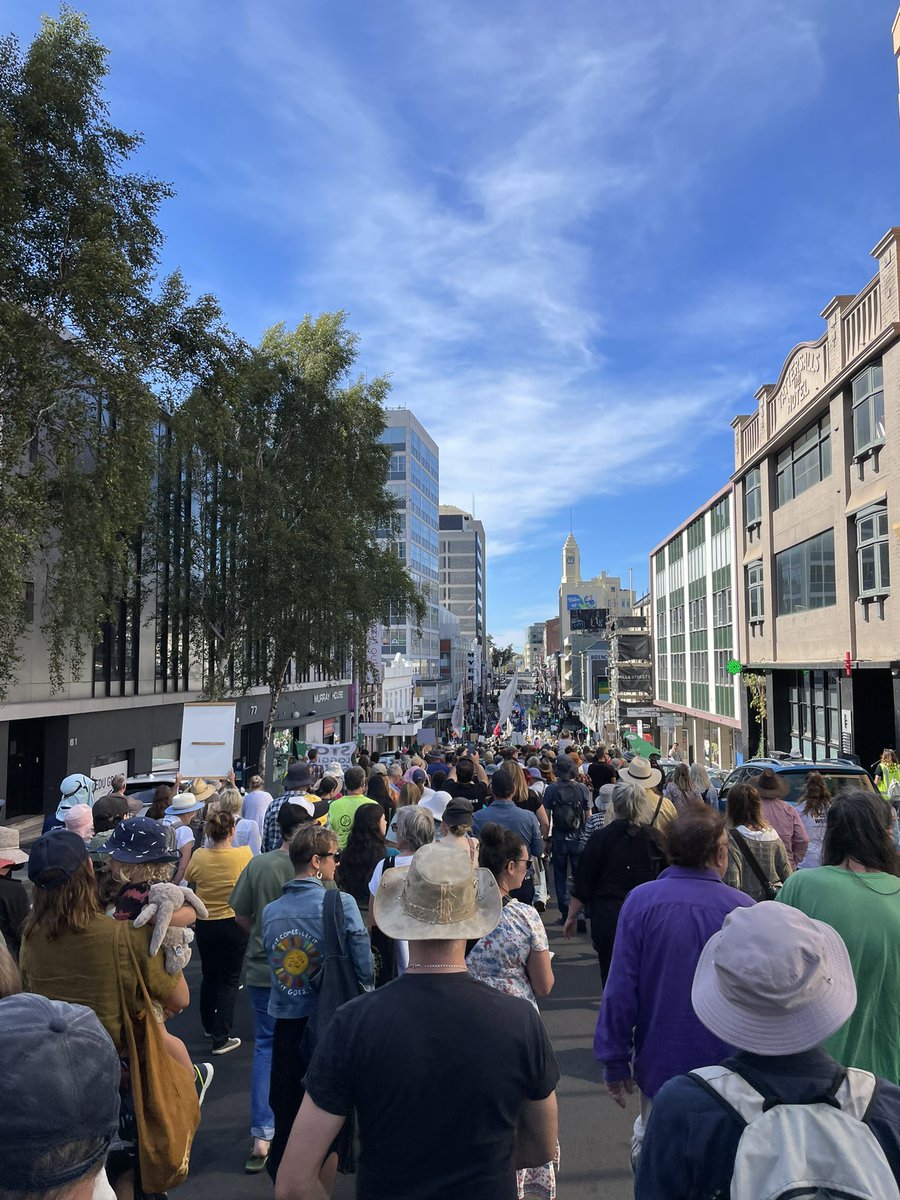 #MarchForForests #nipaluna #Hobart #SaveOurForests