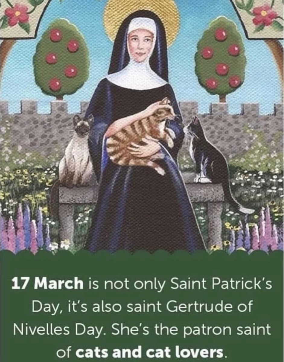 Of course had to #post this! #StGertrude #patronsaint #kitties #March17
