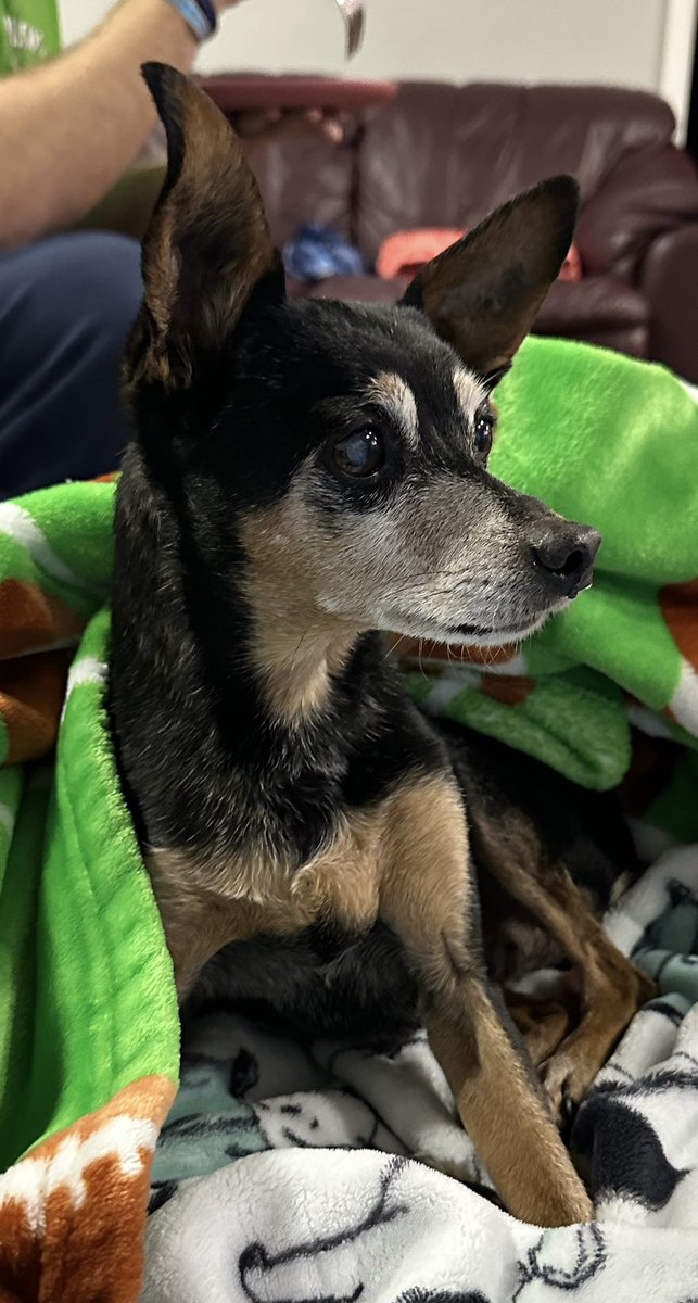 Getting ready for <a href="/OfficialOPLive/">On Patrol: Live</a> <a href="/OnPatrolNation/">#OPNation</a>  #OPLive #OnPatrolLive He just turned 17 and loves his #OPNation