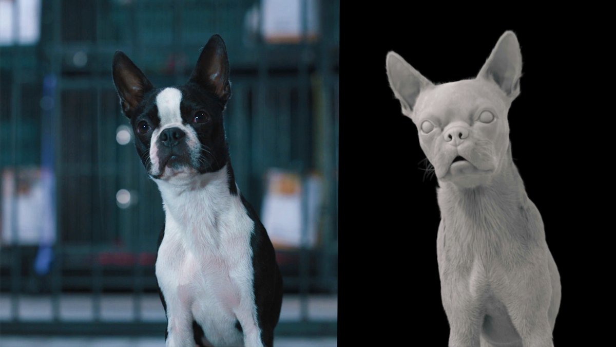 TheCGBros's tweet photo. CGI VFX Breakdown "Strays" from the talented team at MPC - https://t.co/oiyvLfpPDK #animated #shortfilm #vfx #thegcbros #cgi #3d #VFX #VFXBreakdowns 370 artists across MPC's locations delivered 720 shots for Strays. @MPCVFX #cgi #VFX #dogs https://t.co/Bb7P4xYJDo