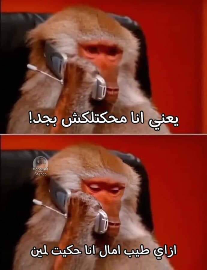نبذة عن ذاكرتي