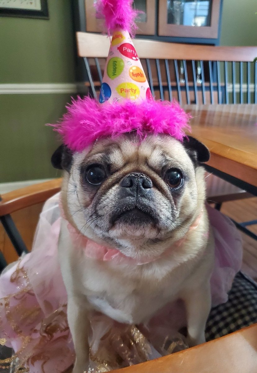 @Lil_Fen 's mom. If the squishatinis say it's your birthday, then who am I to disagree??? Happy Birthday to one of THE BESTEREST doggie mamas ever!!!!  Woof you!!!
❤️Lilibet