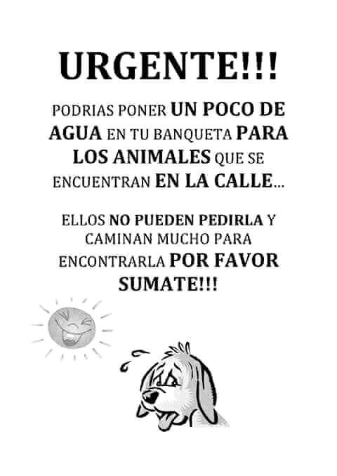 FlixRamnRivero2's tweet image. 