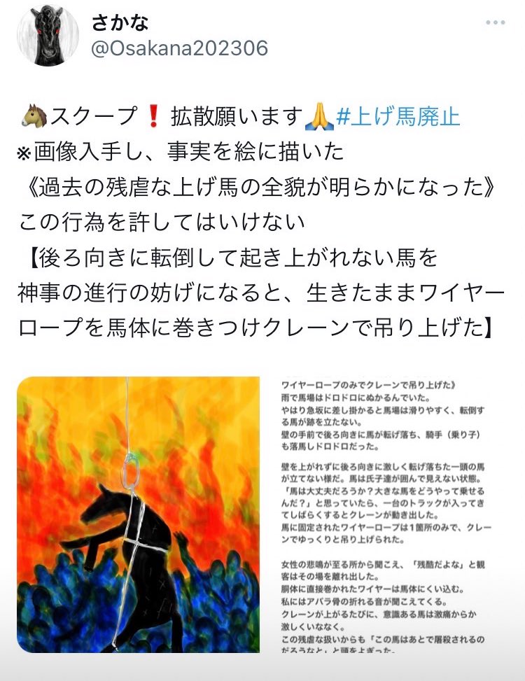 神事⁉️
こういう事があったのを　広く知ってほしい。
#上げ馬は動物虐待 
#上げ馬神事 
#上げ馬神事は動物虐待 
#多度大社
#ageuma