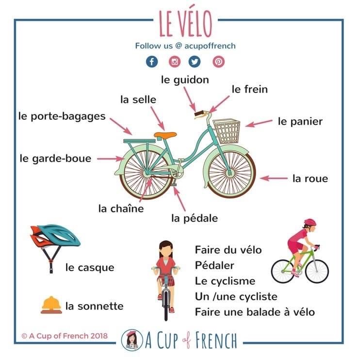 HA_FrenchDept's tweet photo. Du vocabulaire très utile à retenir. ✍️📚💡#FrenchGCSE #FrenchALevel #PracticeIsTheKeyToSuccess #HardWorkPaysOff #PreparingForExamsEfficiently  😊👍🇫🇷 https://t.co/ZFusuLRL7c