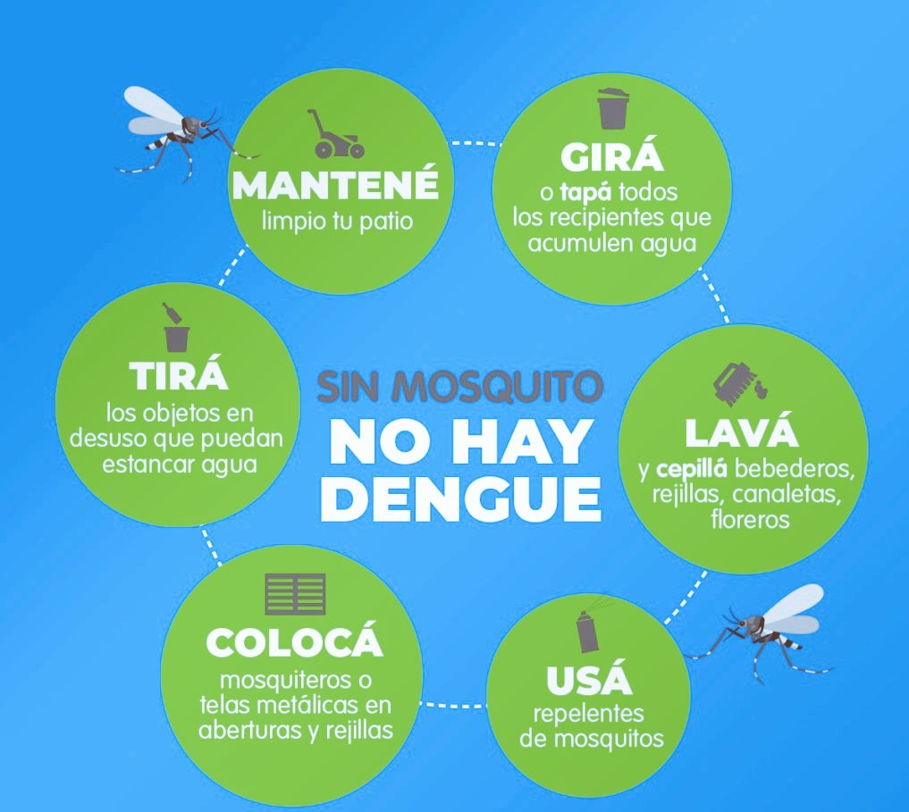 LicOrtegasan's tweet photo. Sin mosquitos no hay #Dengue https://t.co/5nWc8ZiiKn