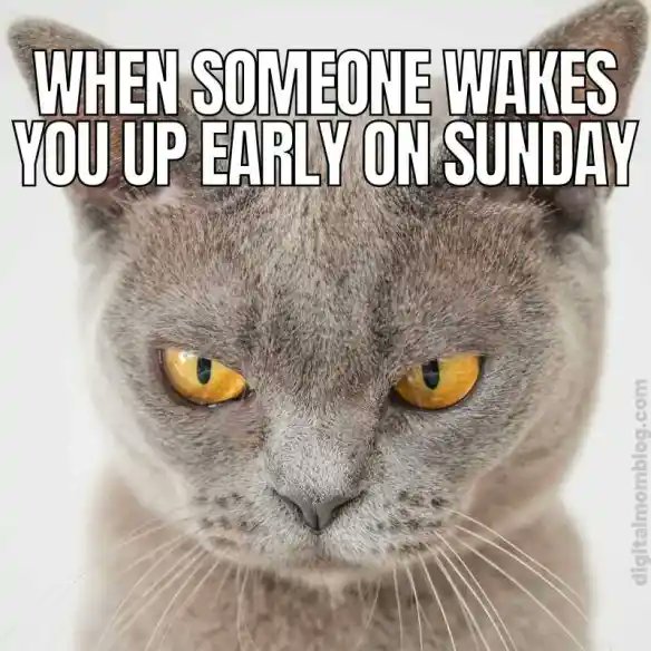 DaddyisBest's tweet image. Need coffee stat!!