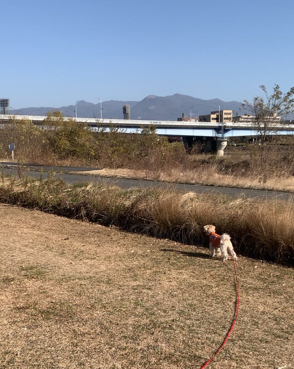 @soQK5YXufMEt21o まるむぎたんとこ行ったことあるよ！
キレイな色の何色かの湖とか。美味しいラーメンも食べた。

ももんちも田舎だよ〜
この山は赤城山⛰