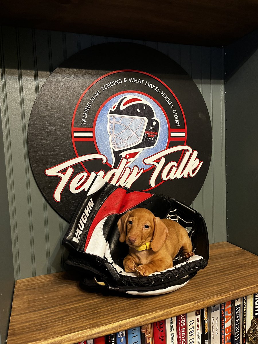 WashedUpGoalie's tweet photo. A late season acquisition from South Carolina was finalized today. Mini, formerly String Bean, joins the team to spread joy. She already exhibits strong snuggling skills, and shows great potential to fetch twigs twice her size.
•
#THPN #WashedUpGoalie #puppy #doxin #MiniDoxin https://t.co/gfHGn7MHXU