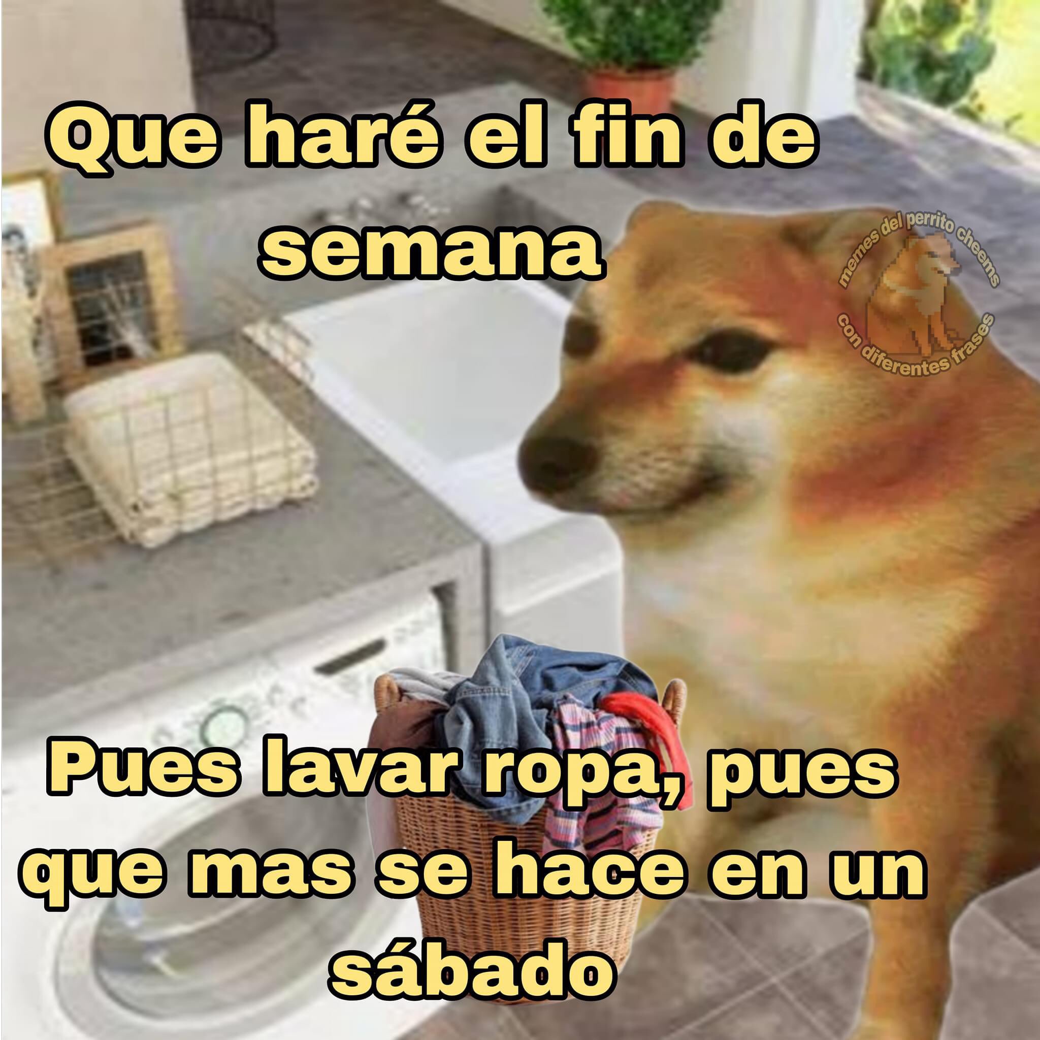 Memes Para Lavar Ropa Imágenes Y Carteles De LAVAR Pag. 25