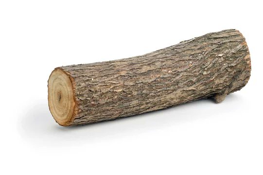@gunsnrosesgirl3 I'm in love with a $LOG