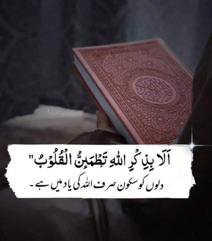 zohaibkhan11731's tweet photo. Aaj ki baaat 2
#Coventry
$BORE
#Pence
#Holder
#StPatrick
#JUNGKOOK
#Tyson
#Acheron
#AlphaQuests https://t.co/wuxE052JIL