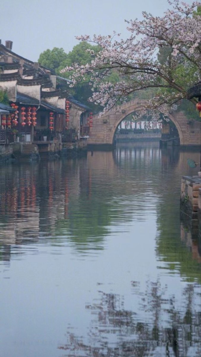 AApril0321's tweet photo. 春天的中国西塘古镇,樱花盛开的美丽之景。#大美中国 #Springcomesearly https://t.co/0TBLa1mO7w