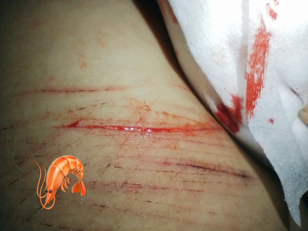 woMax_'s tweet photo. Omaiga #shtwt #sytro https://t.co/XKkzdhTuQ0