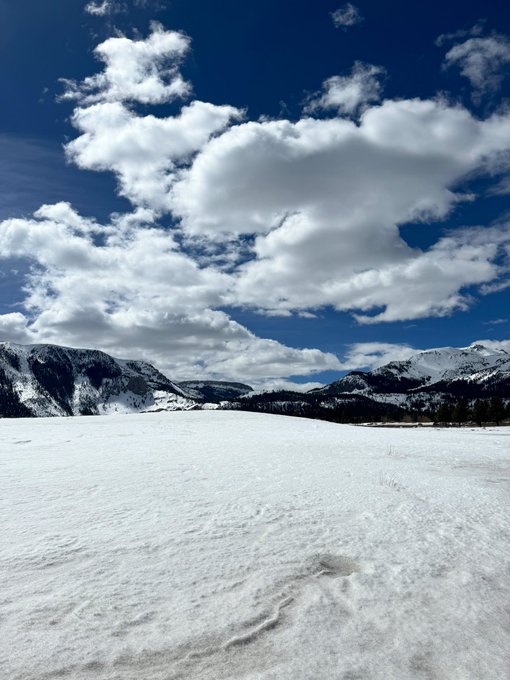 Mammoth ⛷️🫶🏻 https://t.co/dfO10TITPP