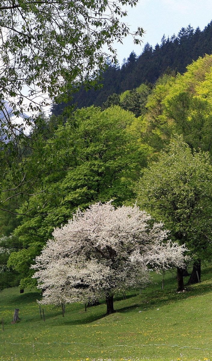 ᅠ ᅠ (@greendreaams) on Twitter photo 