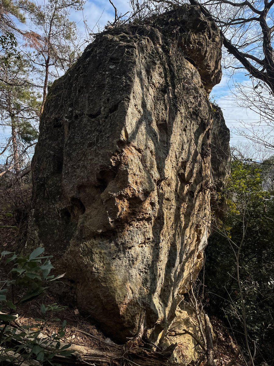 sunnonkai_tw's tweet photo. 平井金山城（群馬県藤岡市）
関東管領山内上杉氏の詰城。駐車場から城域まで約20分、途中急勾配もあり枯葉で滑る。本丸から井戸跡辺りまでは整備されているがその先大手櫓門辺りまで倒木が多くピンクのリボンを頼りに進む。10台程度の無料駐車場。見学2時間。
(2024/2/4)
#群馬県 #藤岡市 #平井金山城 https://t.co/pmLidBMEpx