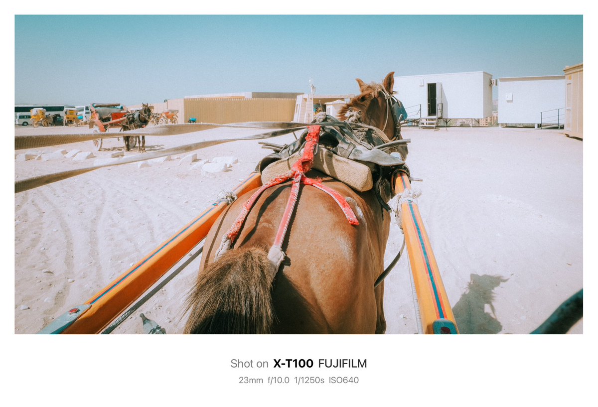 Okahida's tweet photo. Egypt trip
#tbt
#fujixt100
#okanyekrek https://t.co/YPN61Wc8yB