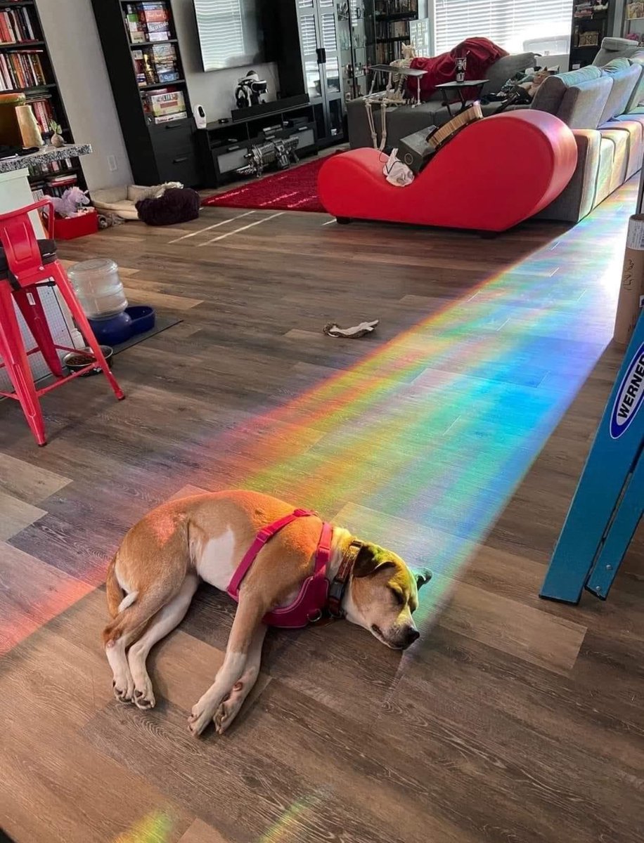 La descripción perfecta del tesoro al final del arcoíris 🌈