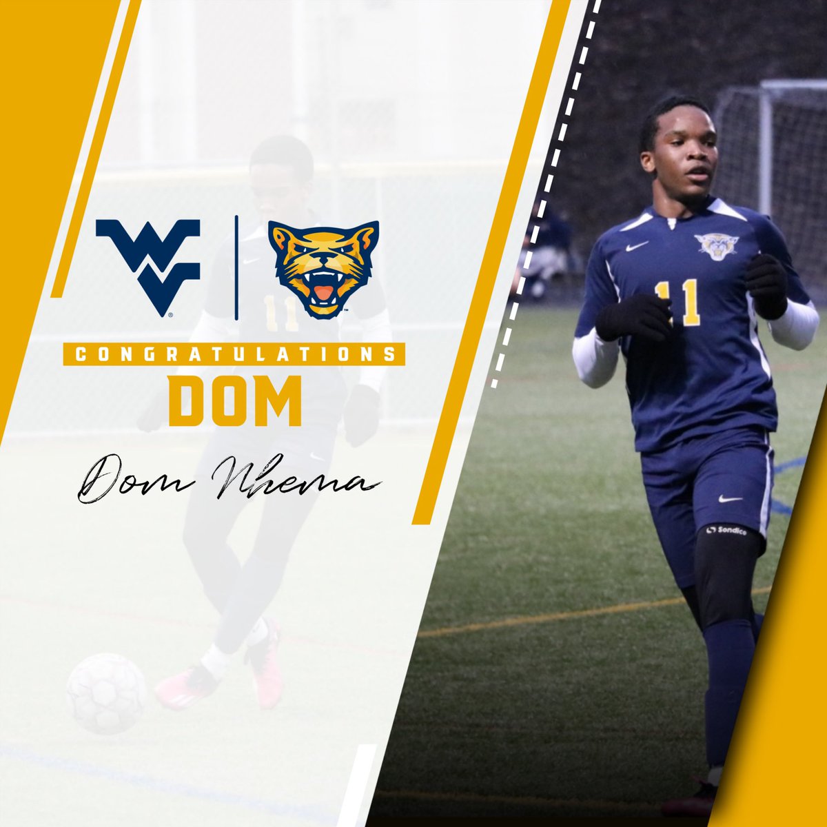 Potomac State Athletics tweet media