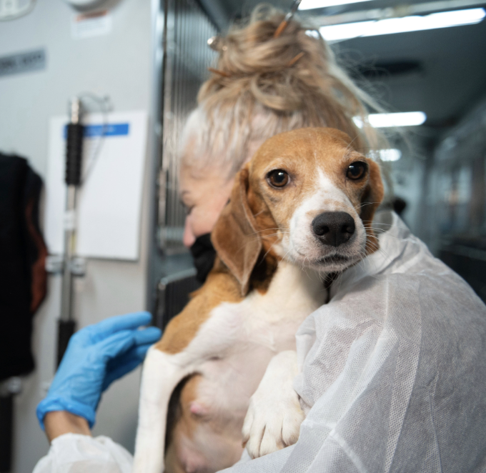 Fact of the day: The Animal Welfare Act (AWA), is a federal law that addresses the standard of care animals receive at research facilities. #39canimals