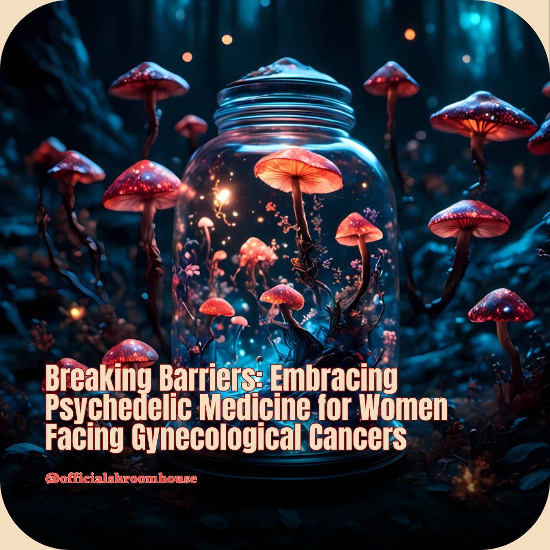 Commentary urges exploration of psilocybin and psychedelics for alleviating distress in late-stage gynecological cancer patients, citing promising results and minimal side effects. #PsilocybinTherapy #GynecologicalCancer