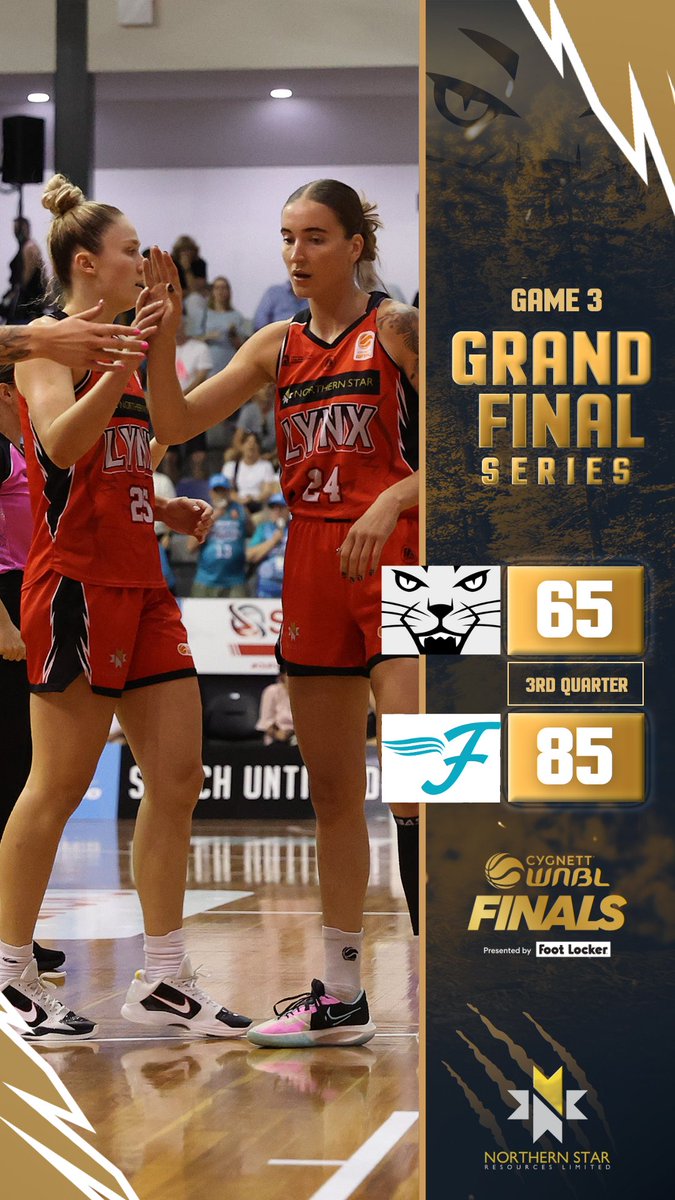 One term left in the season #wnbl24 #lynxfinals24