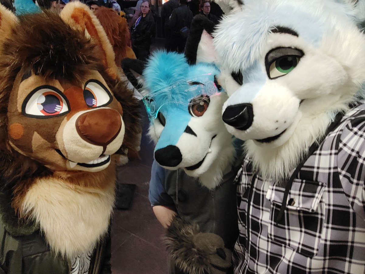 Atatatlas's tweet photo. Rocking up to lfm ith my fox bitches @BornyFox (@TibbleTheFox) @ThePocketyFox https://t.co/yJugL9LG3r