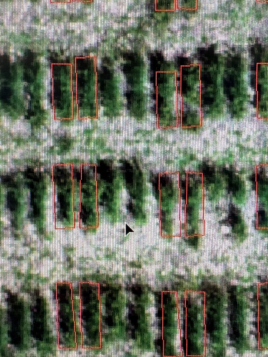 Swas Kaushal (@swas_kaushal) on Twitter photo 🌱 Spring break done right! Our drone image analysis is sketching polygons over 2500-row wheat plots, unveiling novel traits. Super pumped to crunch these numbers and dive into the future of wheat breeding! 🚀🌾 <a href="/WheatInnovation/">SDSU Winter Wheat Breeding</a> <a href="/Mandeep91483/">Mandeep Singh</a> 🌱 Spring break done right! Our drone image analysis is sketching polygons over 2500-row wheat plots, unveiling novel traits. Super pumped to crunch these numbers and dive into the future of wheat breeding! 🚀🌾 <a href="/WheatInnovation/">SDSU Winter Wheat Breeding</a> <a href="/Mandeep91483/">Mandeep Singh</a>