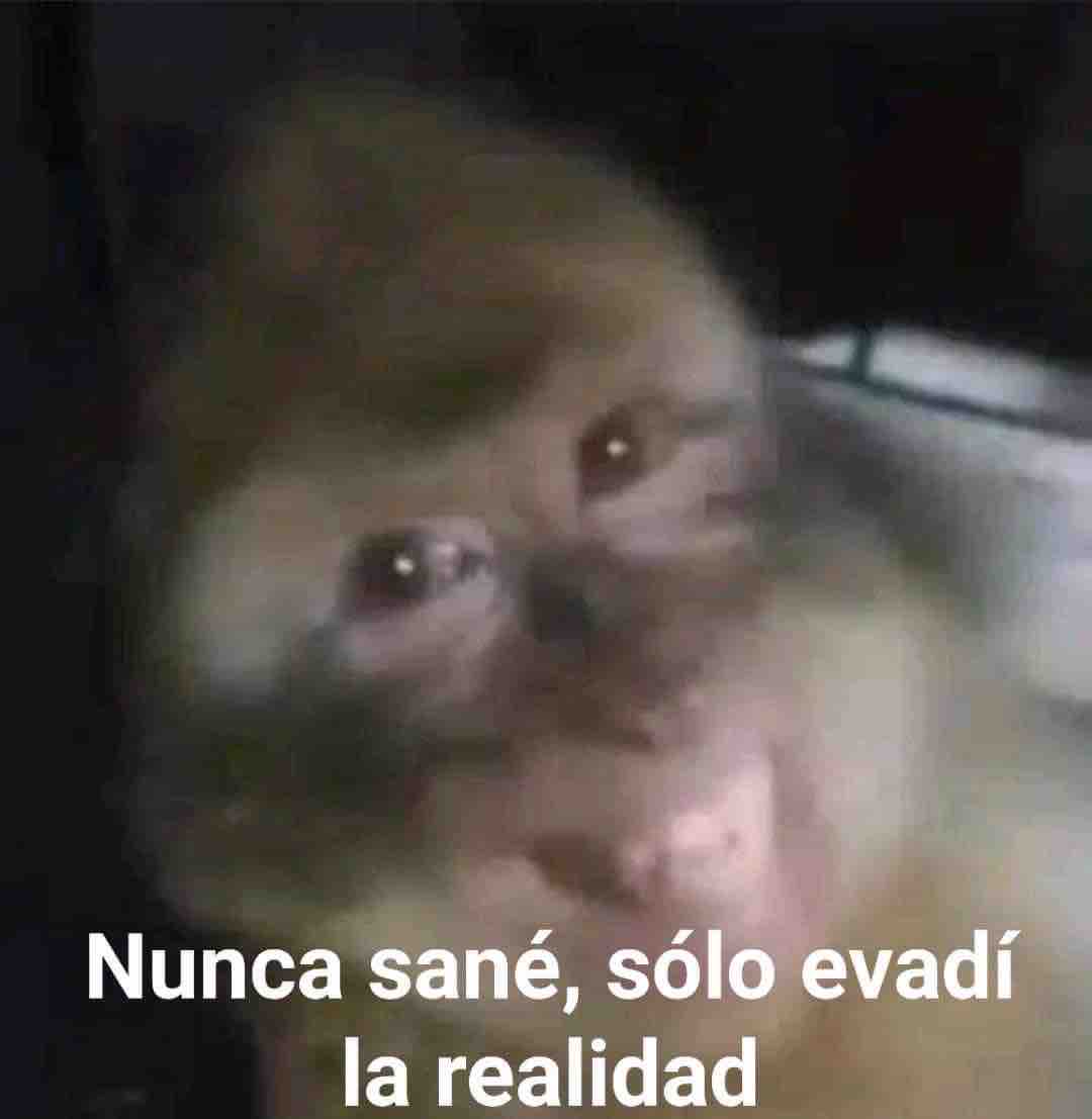 El Guarromántico (@guarromantico_) on Twitter photo 