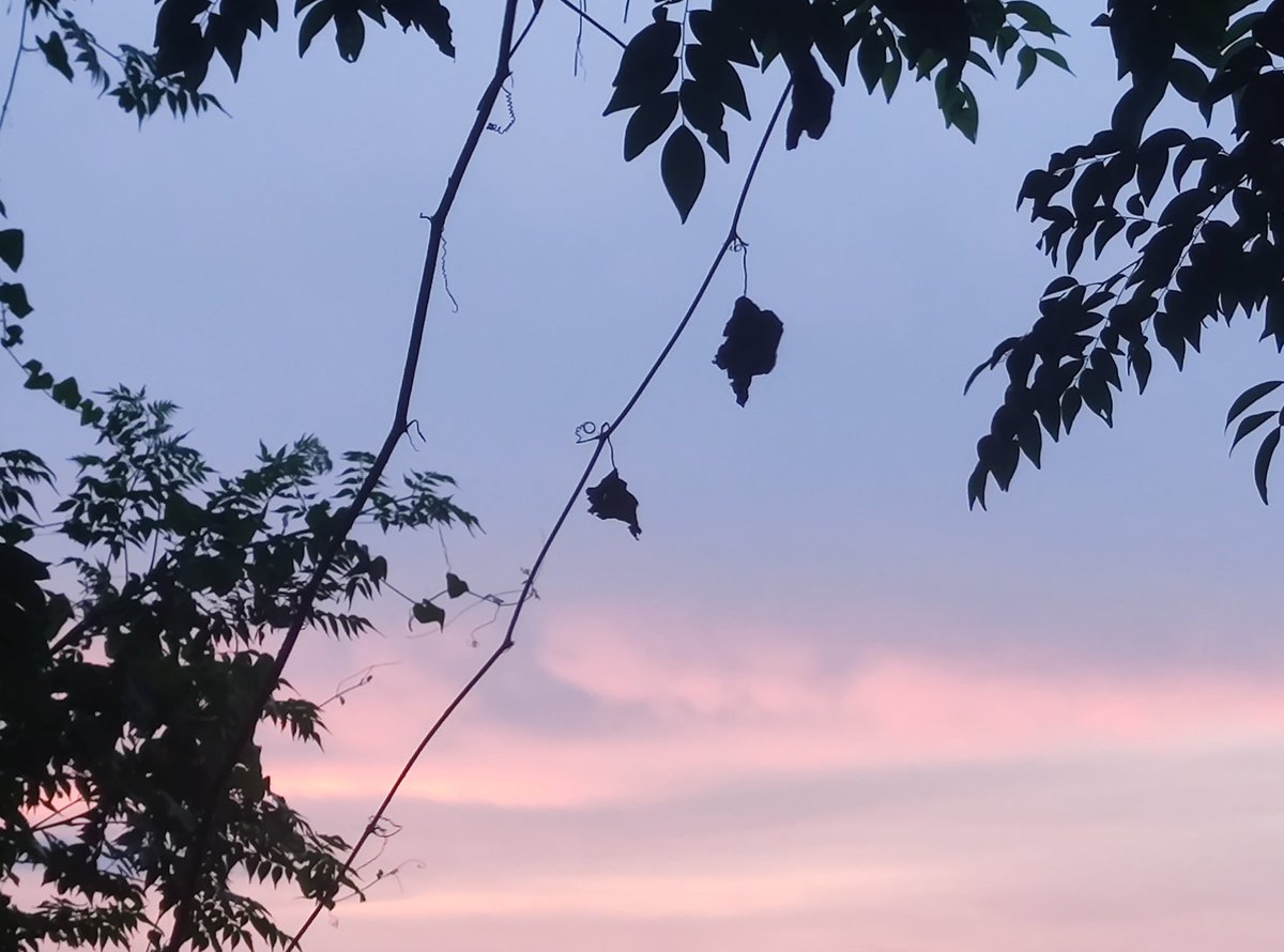 zhoumo (@zhoumo576725) on Twitter photo 