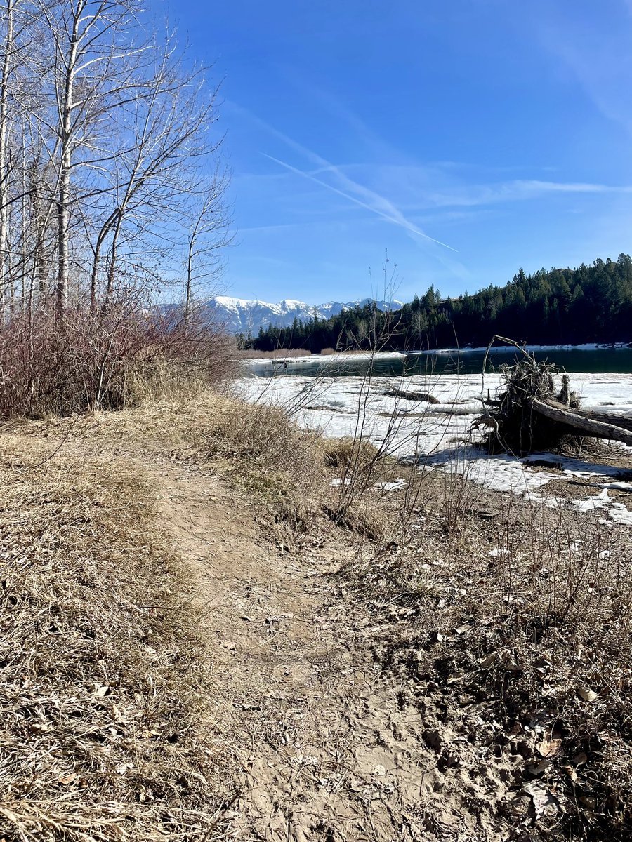 kaeloni_neville's tweet photo. Just an incredible trail runventure complete with sunshine and all the pretty Montana views 🏞️
#trailrun #runventure #runmontana #runhappy #brooksrunningcollective https://t.co/KUvD0OyKSa
