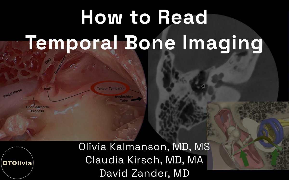 Olivia Kalmanson, MD, MS tweet media